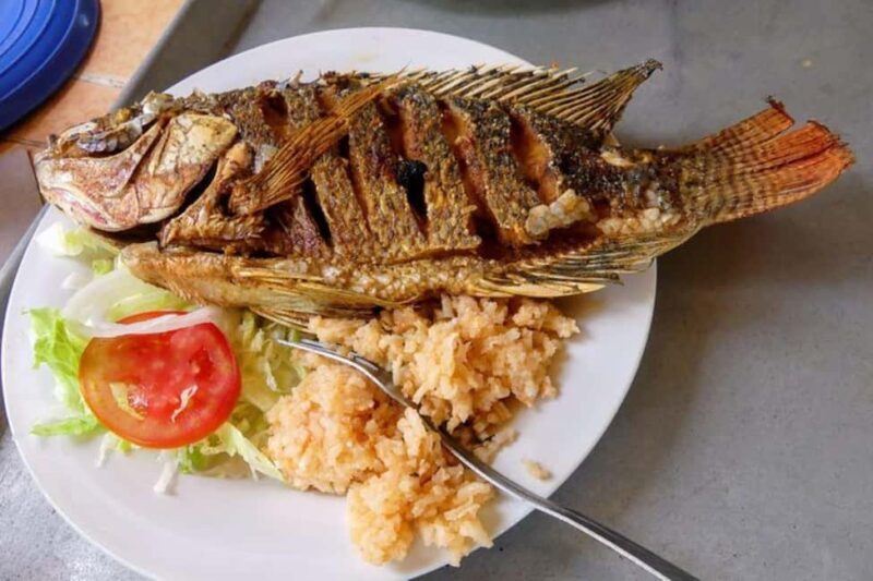 -Acapulco: Coyuca Lagoon Boat Ride &Baby Turtle Release Tour - A Detailed Look at the Experience