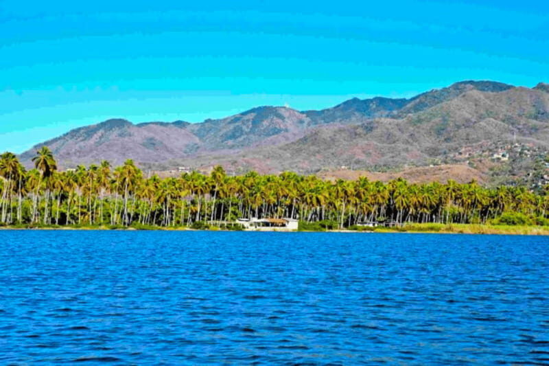 Acapulco: Coyuca Lagoon Tour - A Thorough Review of the Coyuca Lagoon Tour