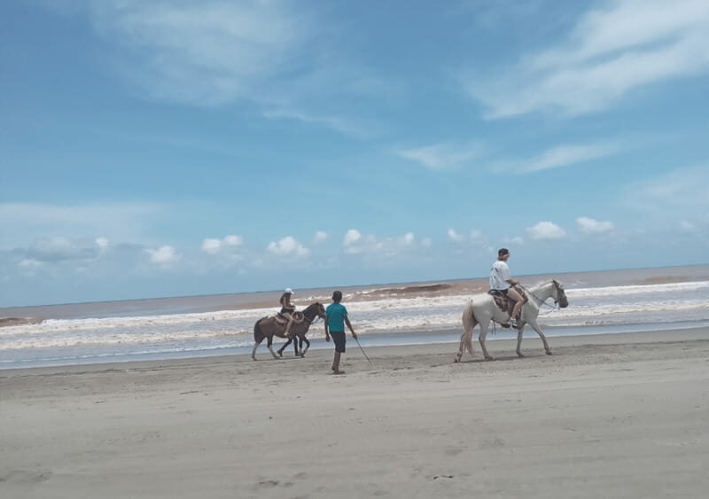 Acapulco: Horseback Riding, Turtle Camp, and Crocodile Tour - An In-Depth Look at the Tour