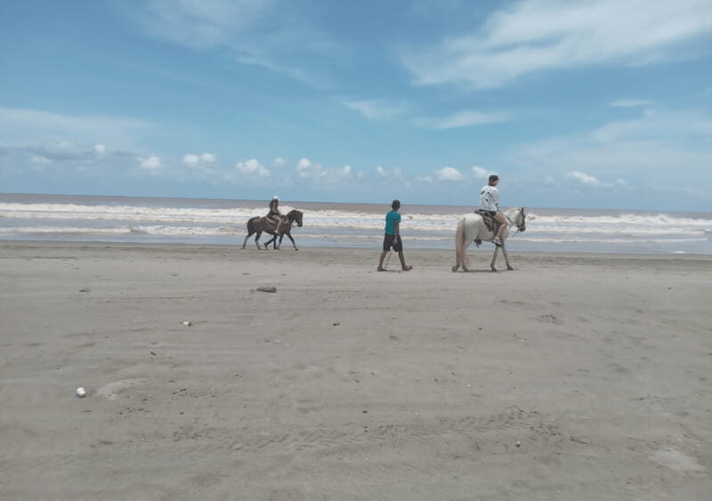 Acapulco: Horseback Riding, Turtle Camp, and Crocodile Tour - Why This Tour Offers Good Value