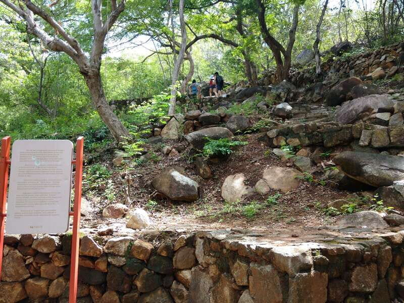 -Acapulco: Palma Sola Petroglyphs Experience Market + Lunch - Who Will Love This Tour?
