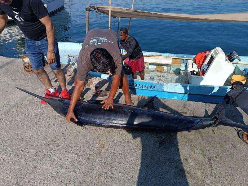 Acapulco: Private Fishing Experience - Key Points