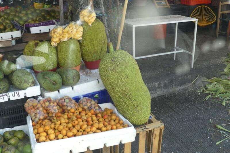-Acapulco: Private Tour with Lunch and Hotel Pickup - FAQ