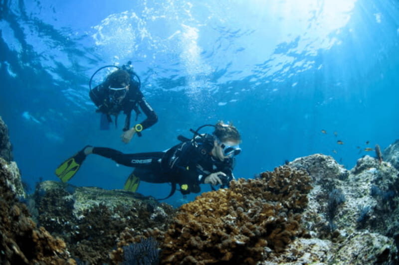 Acapulco: Scuba Diving in Roqueta Island - A Practical Look at the Experience