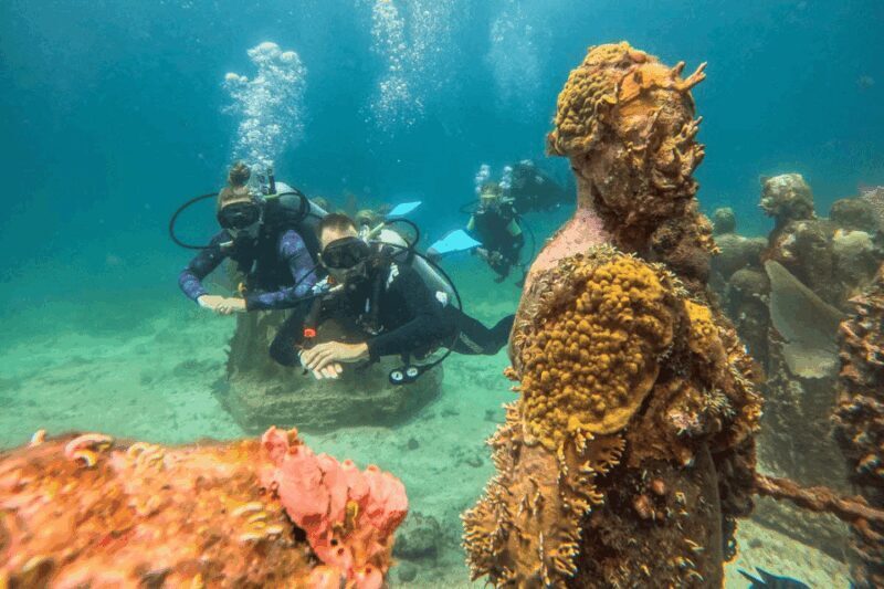 Acapulco: Scuba Diving in Roqueta Island - Who Would Enjoy This Tour?