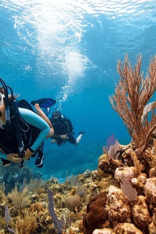 Acapulco: Scuba Diving in Roqueta Island - The Sum Up