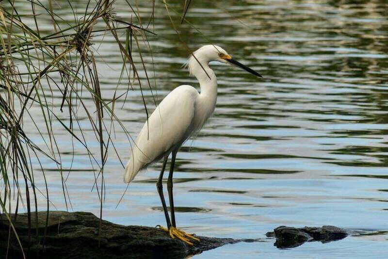 -Acapulco:3 Palos Lagoon Boat Ride& Crocodile Farm Exprience - A Detailed Look at the Experience