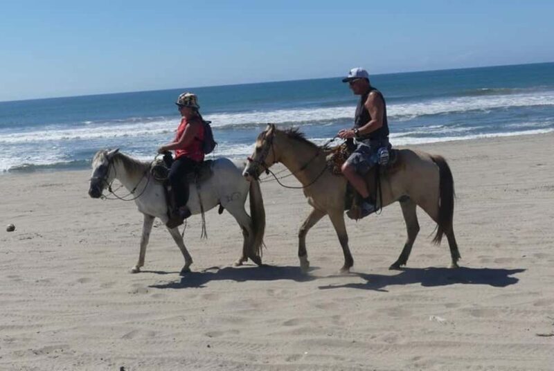 -Acapulco:Turtle Release Crocodile Farm & Horseback Ride Exp - Key Points