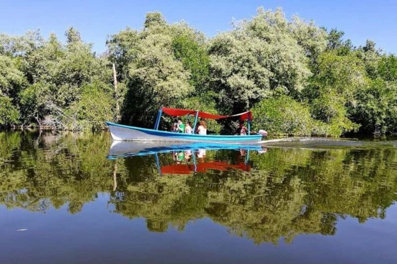 -Acapulco:Turtle Release Crocodile Farm & Horseback Ride Exp - Who Should Consider This Tour?