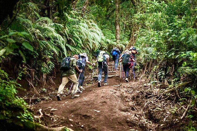 Acatenango Volcano Overnight Hike with Comfort Glamping - The Sum Up