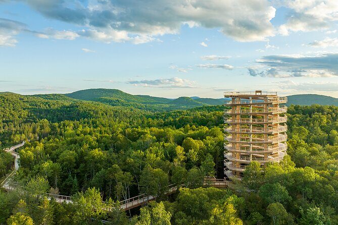 Access to Mont-Tremblant Treetop Observatory and Walk - What Is This Experience All About?