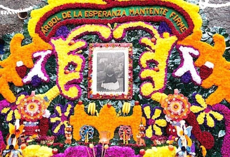 Access to the Frida Kahlo Museum or Casa Kahlo Museum with a Digital Guide - A Closer Look at the Experience