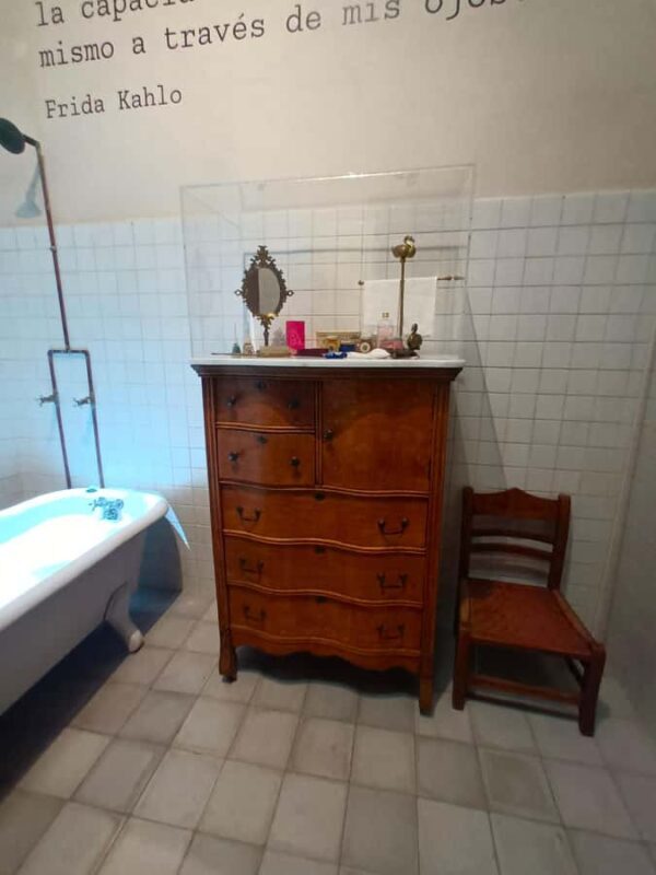 Access to the Frida Kahlo Museum or Casa Kahlo Museum with a Digital Guide - Final Thoughts