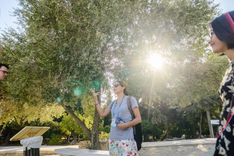 Acropolis: Acropolis and Parthenon Guided Walking Tour - Frequently Asked Questions