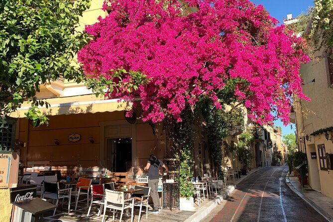 Acropolis & Plaka Neighbourhood Private Tour with Licensed Expert - Who Should Consider This Tour?