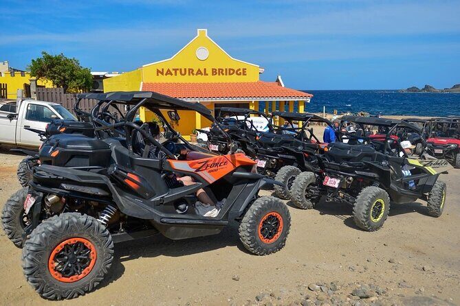 Action-Packed Half Day Aruba UTV Tour and Cave Pool - Key Points