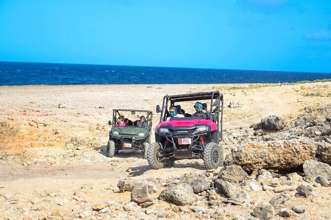 Action-Packed Half Day Aruba UTV Tour and Cave Pool - An In-Depth Review of the Aruba UTV Tour