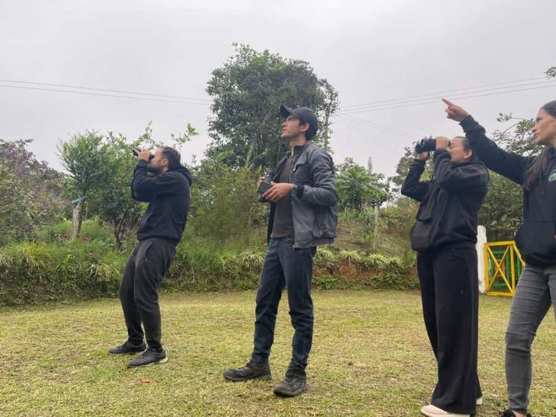 Active Bird-Watching Tour - Key Points