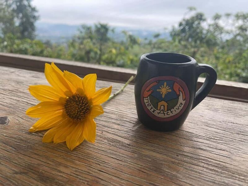 Active Bird-Watching Tour - Exploring the Active Bird-Watching Tour in Detail