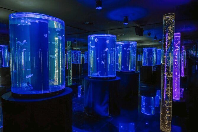 Acuario Sealand Guadalajara Admission Ticket - Frequently Asked Questions