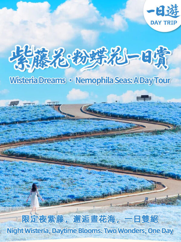 Adachi Flower Garden Night Wisteria & Ibaraki Nemophila Flower Sea Day Trip - Why this route works best in spring