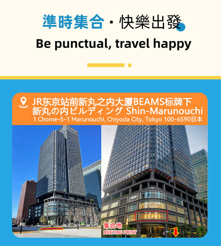 Adachi Flower Garden Night Wisteria & Ibaraki Nemophila Flower Sea Day Trip - Oarai’s torii is brief, dramatic and weather dependent