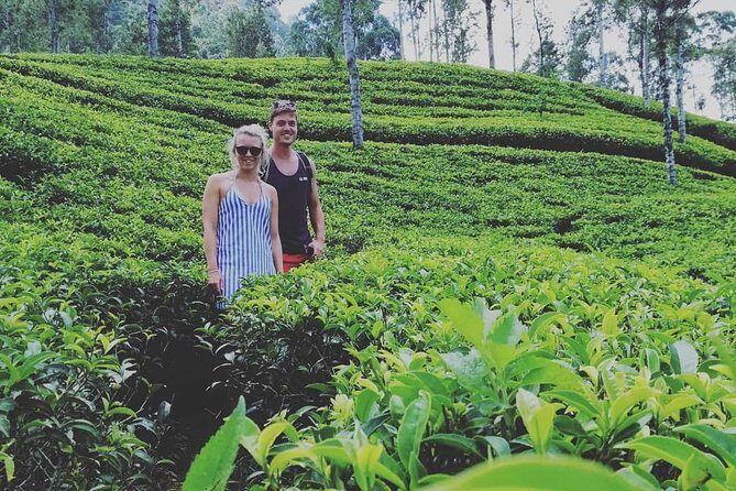 Adam's peak (Sri pada) Waterfalls tour - Frequently Asked Questions