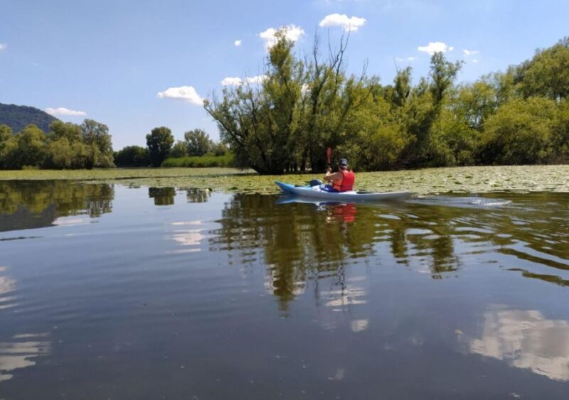 Adda River: Half day Kayak Trip - The Itinerary: What to Expect on Your Kayak Trip