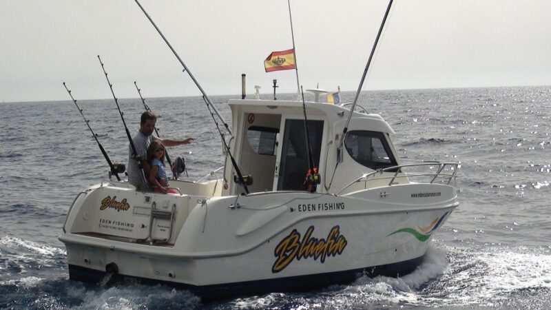 Adeje: 3.5Hour Professional Fishing Experience - Key Points