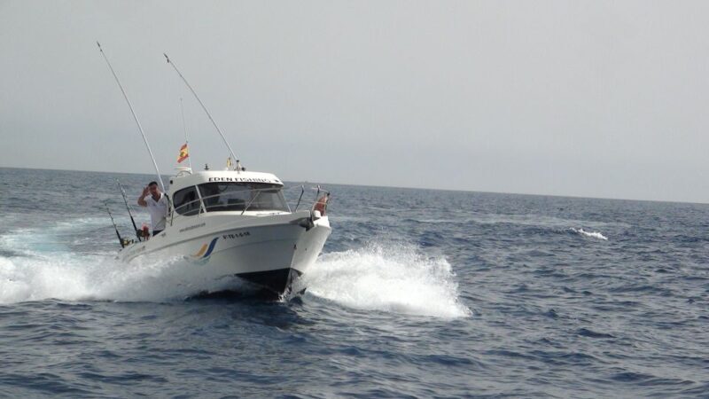Adeje: 3.5Hour Professional Fishing Experience - The Experience in Detail