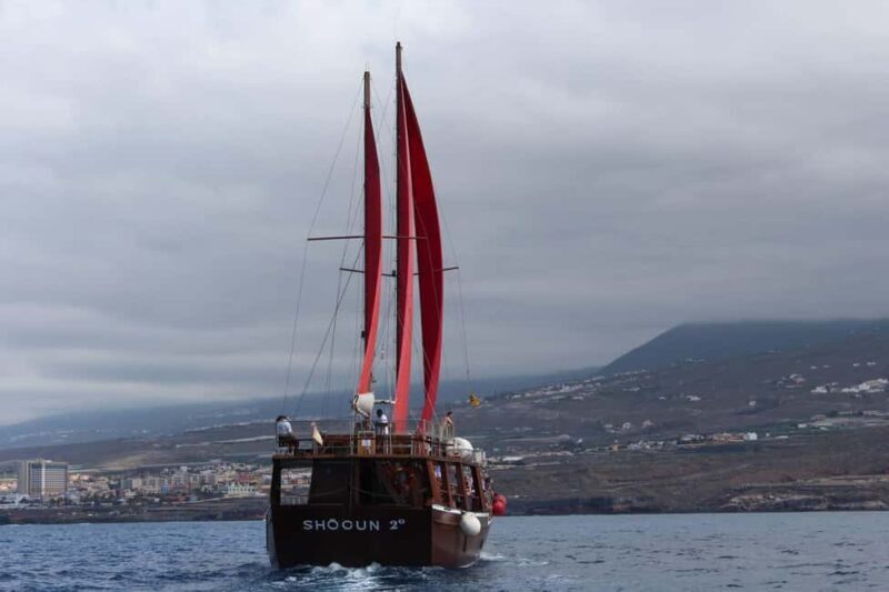 Adeje Classic Schooner: Whales, lunch & Los Gigantes Cliffs - Who Is This Tour Best For?