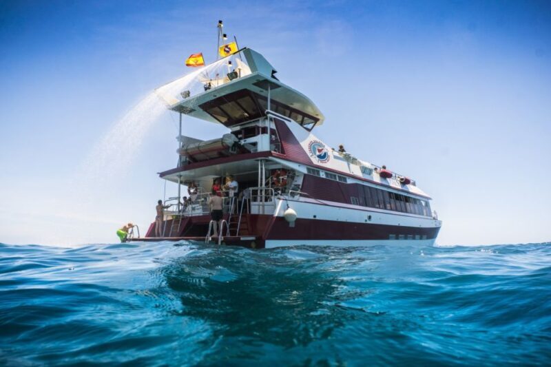 Adeje: Whale and Dolphin Watching Cruise with Lunch and Swim - Authentic Insights from Travelers