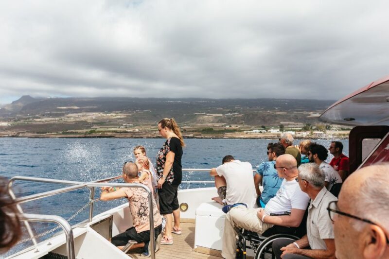 Adeje: Whale and Dolphin Watching Cruise with Lunch and Swim - The Sum Up
