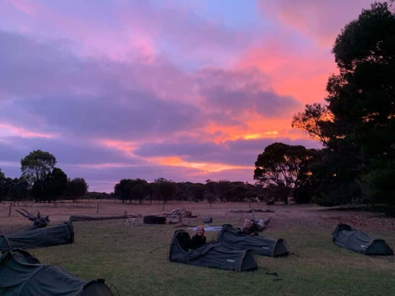 Adelaide: 3-Day Kangaroo Island Adventure Tour with Camping - Who Is This Tour Best For?