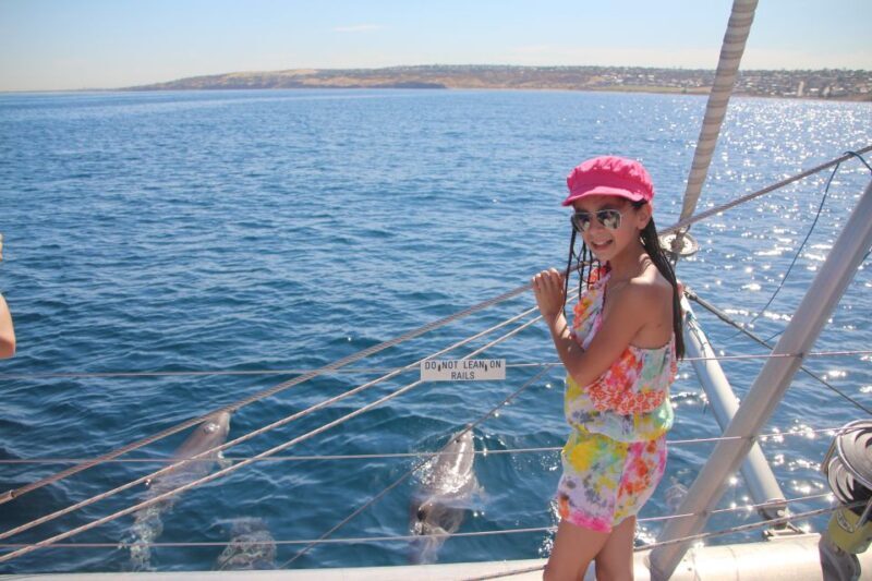 Adelaide: 4-Hour Guaranteed Wild Dolphin Watching Cruise - A Deep Dive into the Dolphin Watching Cruise Experience