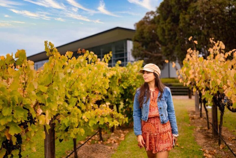 Adelaide: Barossa and Adelaide Hills Tour with Lunch - Mengler Hill Lookout: Take in the Views