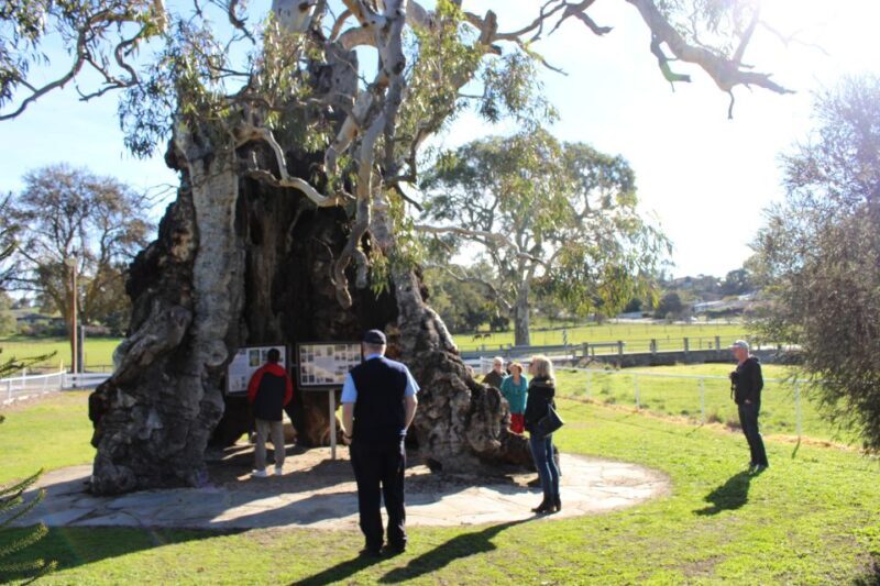 Adelaide: Barossa and Adelaide Hills Tour with Lunch - Lambert Estate: A Hearty Lunch with Local Wines