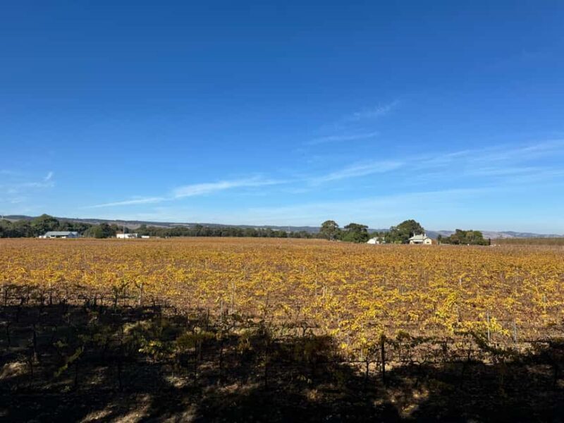 Adelaide City Highlights Full-Day Tour - FAQ