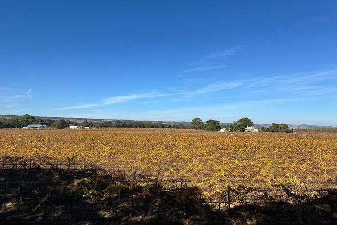 Adelaide City Highlights via Hahndorf Half-Day Tour - A Detailed Look at the Adelaide City Highlights via Hahndorf Tour