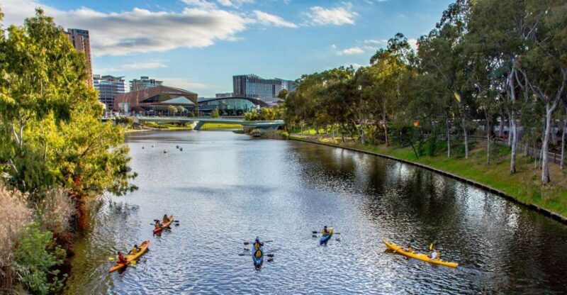 Adelaide: City Kayaking Experience - An In-Depth Look at the Adelaide City Kayaking Experience