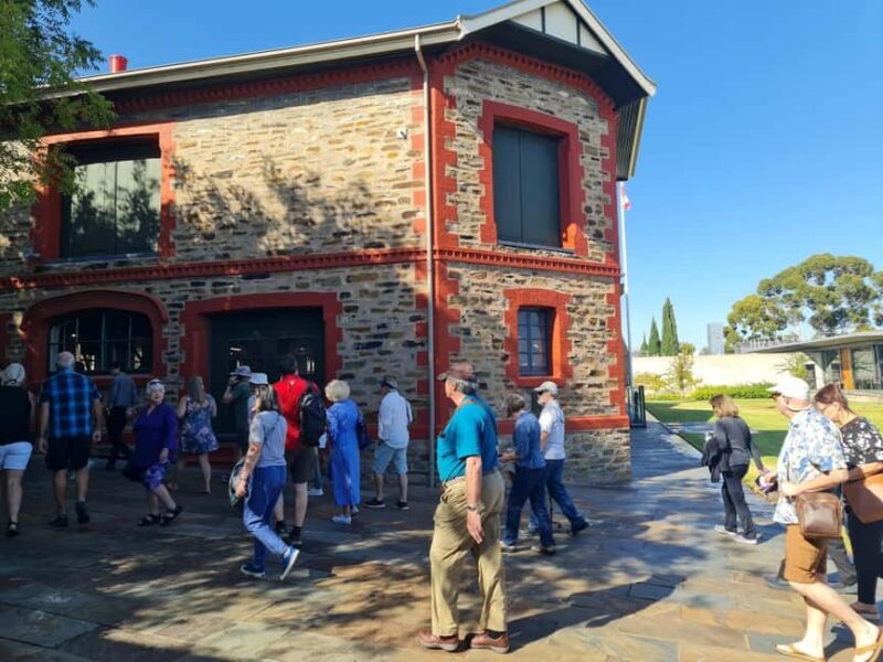 Adelaide Cruise Ship: Koalas & Penfolds & Heritage Day Tour - A Deep Dive into the Adelaide Koalas & Penfolds Tour