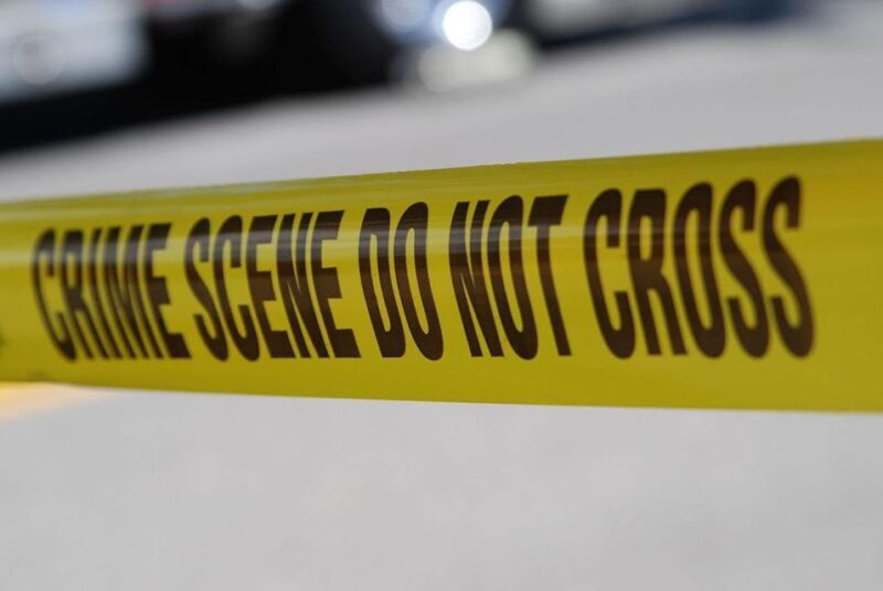 Adelaide: Dark Secrets and True Crime Walking Tour - Key Points