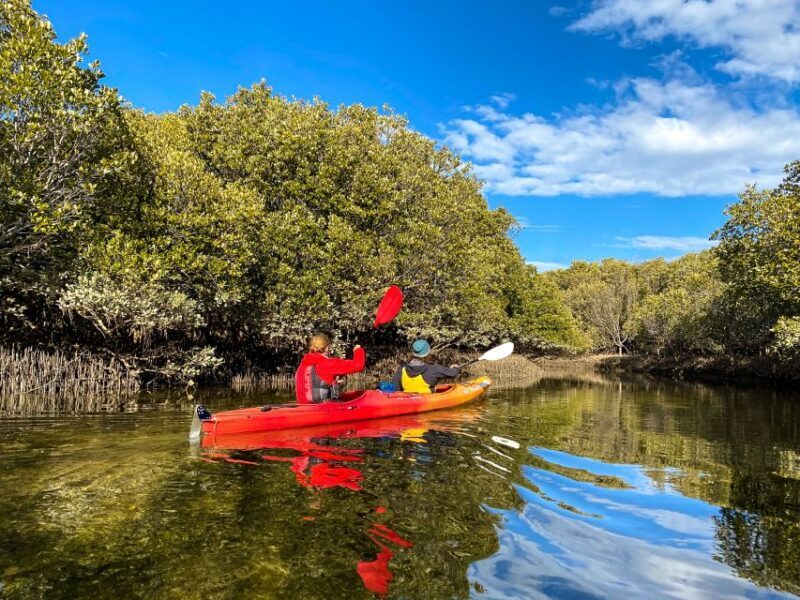 Adelaide: Dolphin Sanctuary 1 or 2-Person Kayak Rental - What Makes This Experience Stand Out?