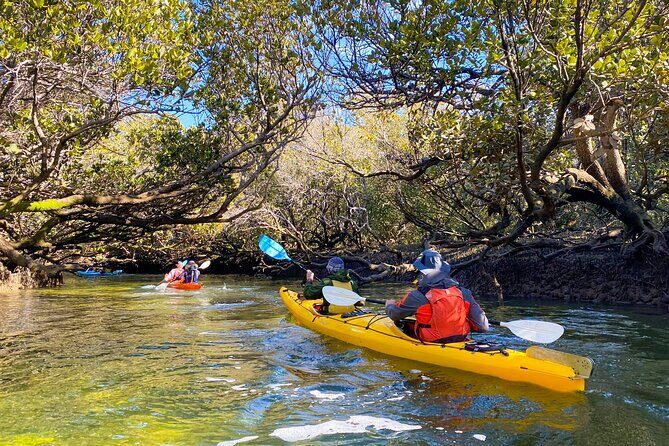Adelaide Dolphin Sanctuary and Ships Graveyard Kayak Tour - Final Thoughts