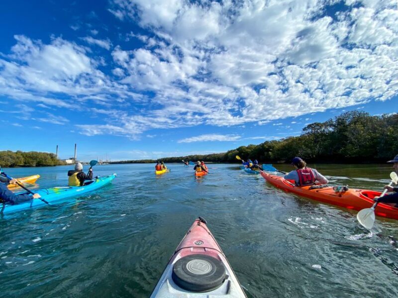 Adelaide: Dolphin Sanctuary Mangroves Kayak Tour - Discovering Adelaide’s Dolphin Sanctuary by Kayak
