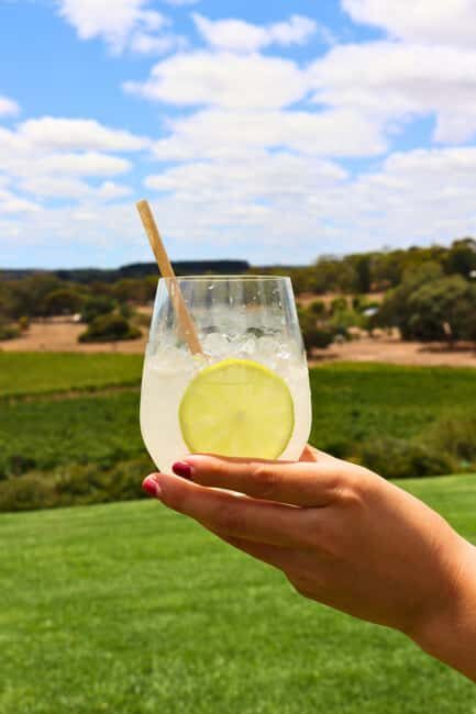 Adelaide: Fleurieu Rock Climb & Gin Tasting - The Sum Up