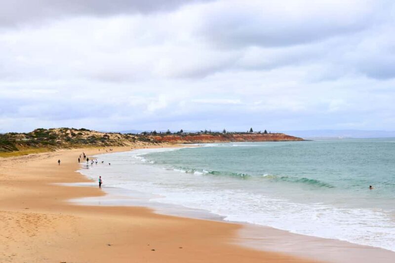 Adelaide: Fleurieu Snorkel & Beer Safari - Discovering McLaren Vale