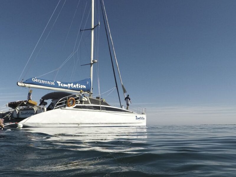 Adelaide: Glenelg Twilight Catamaran Cruise with Drink - Who Will Love This Experience?