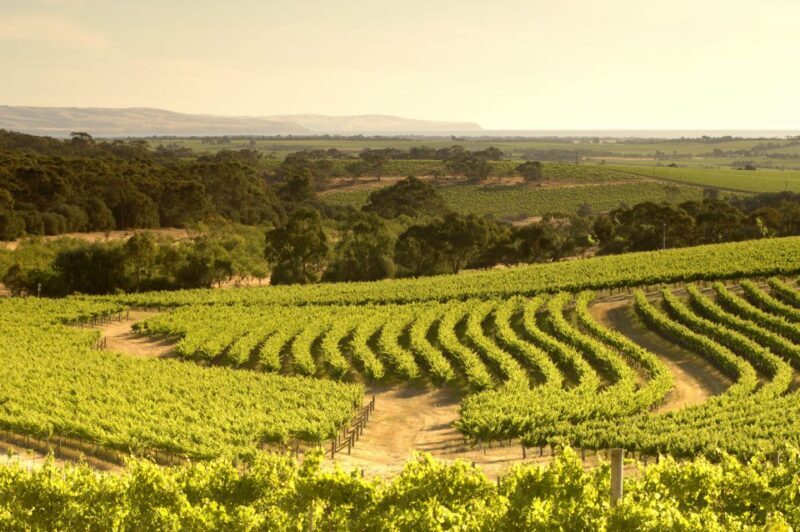 Adelaide: Half-day McLaren Vale & Glenelg Wine Tasting Tour - FAQ