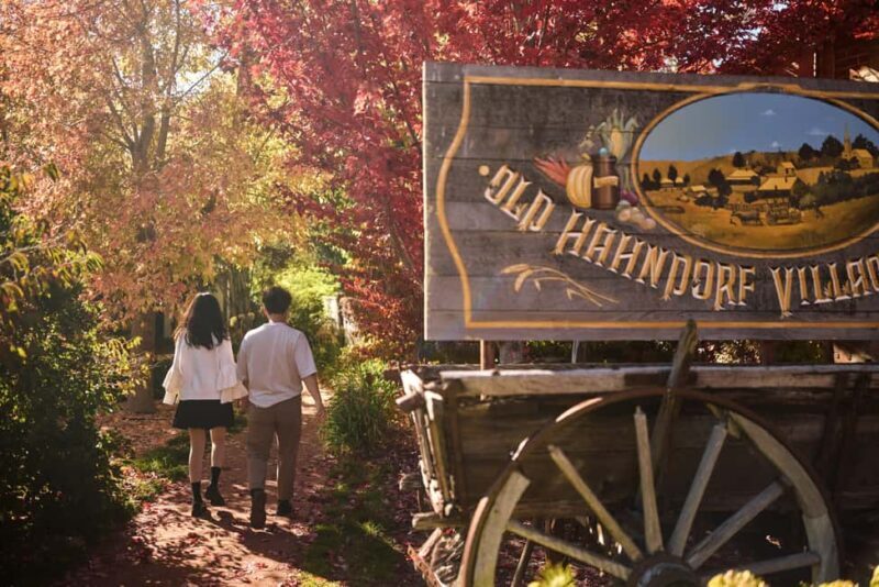 Adelaide: Highlights, Hahndorf & McLaren Vale Wine Tasting - Why This Tour Stands Out